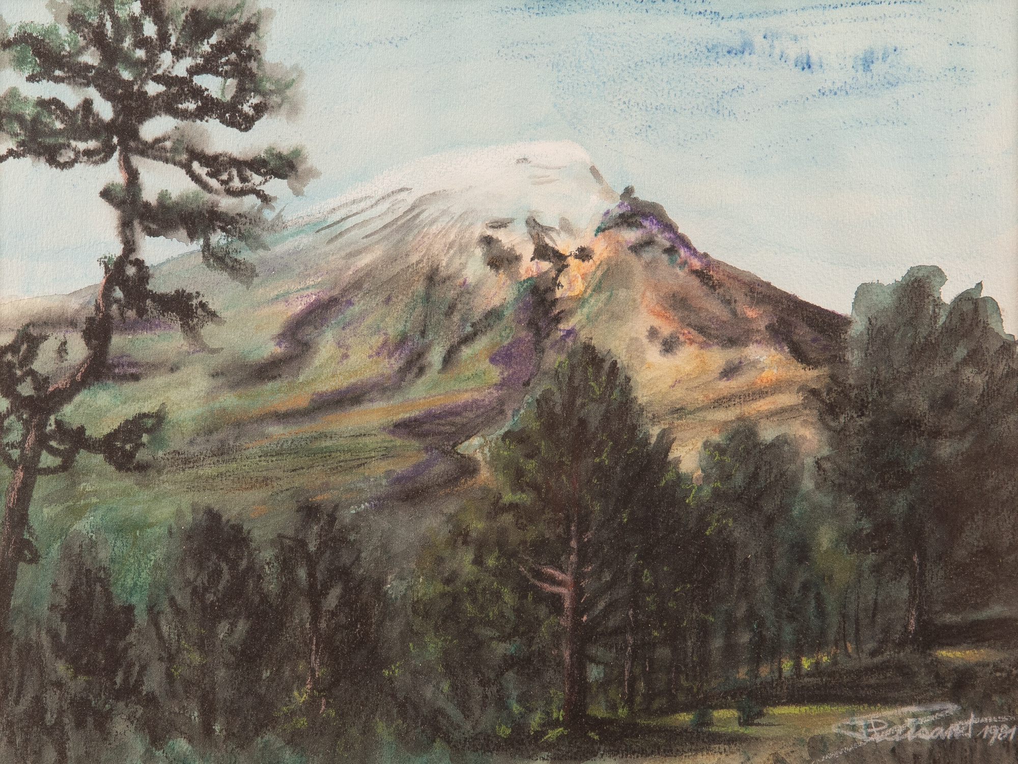 Le volcan Popocatépetl - Mexico - Puebla - Mexique