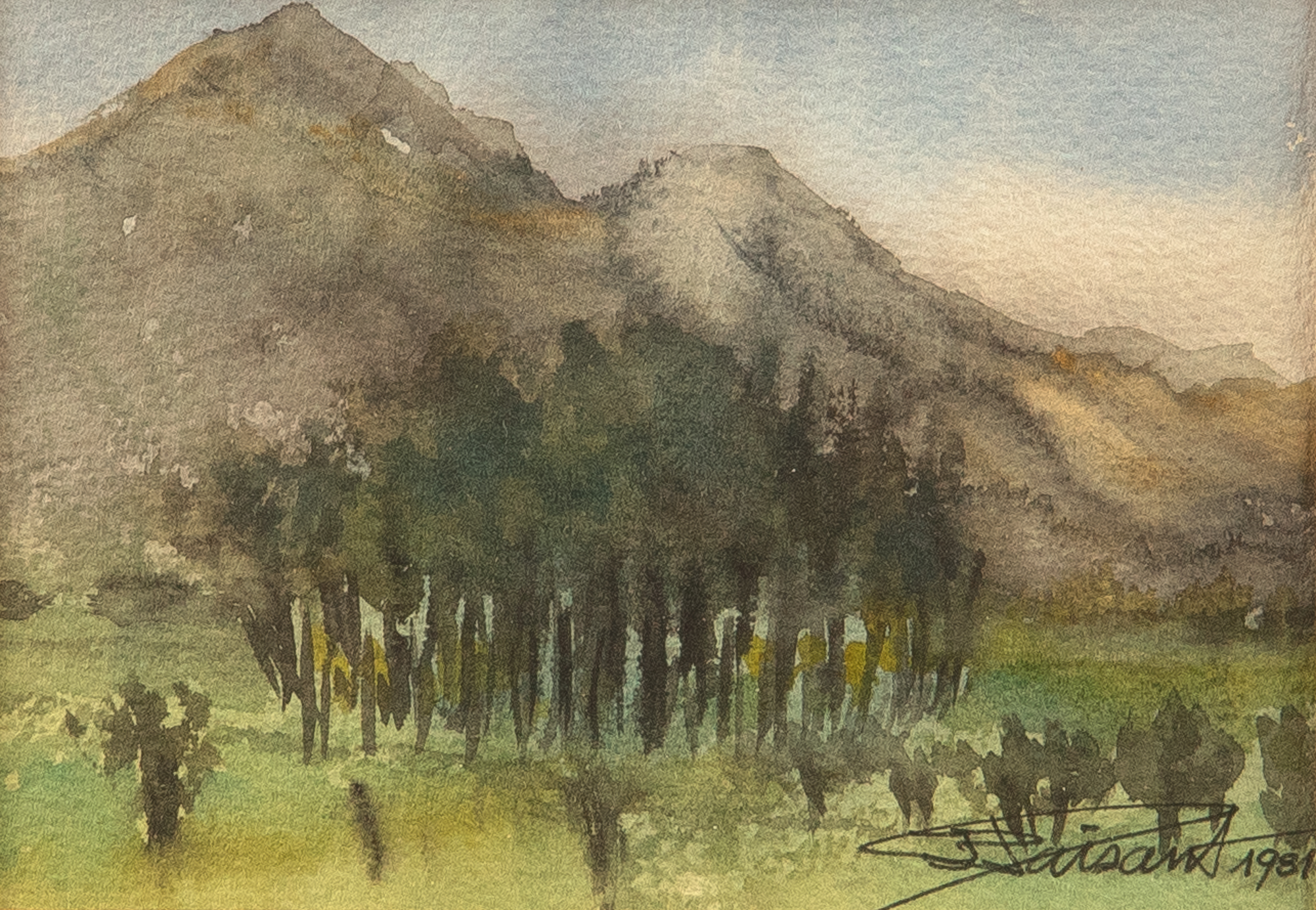 Le bosquet - Martigny - Valais - Suisse