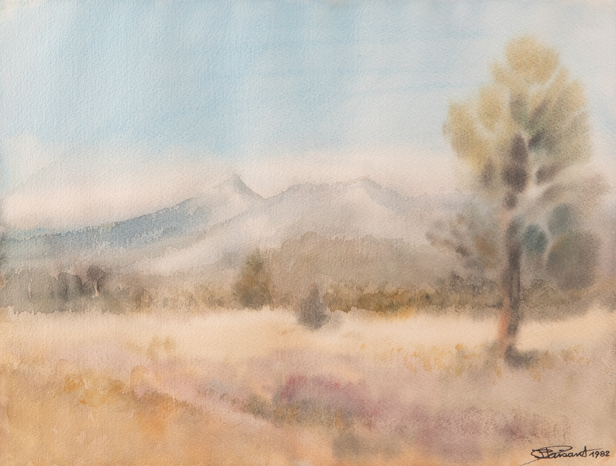 San Francisco Peaks - Flagstaff - Arizona - USA