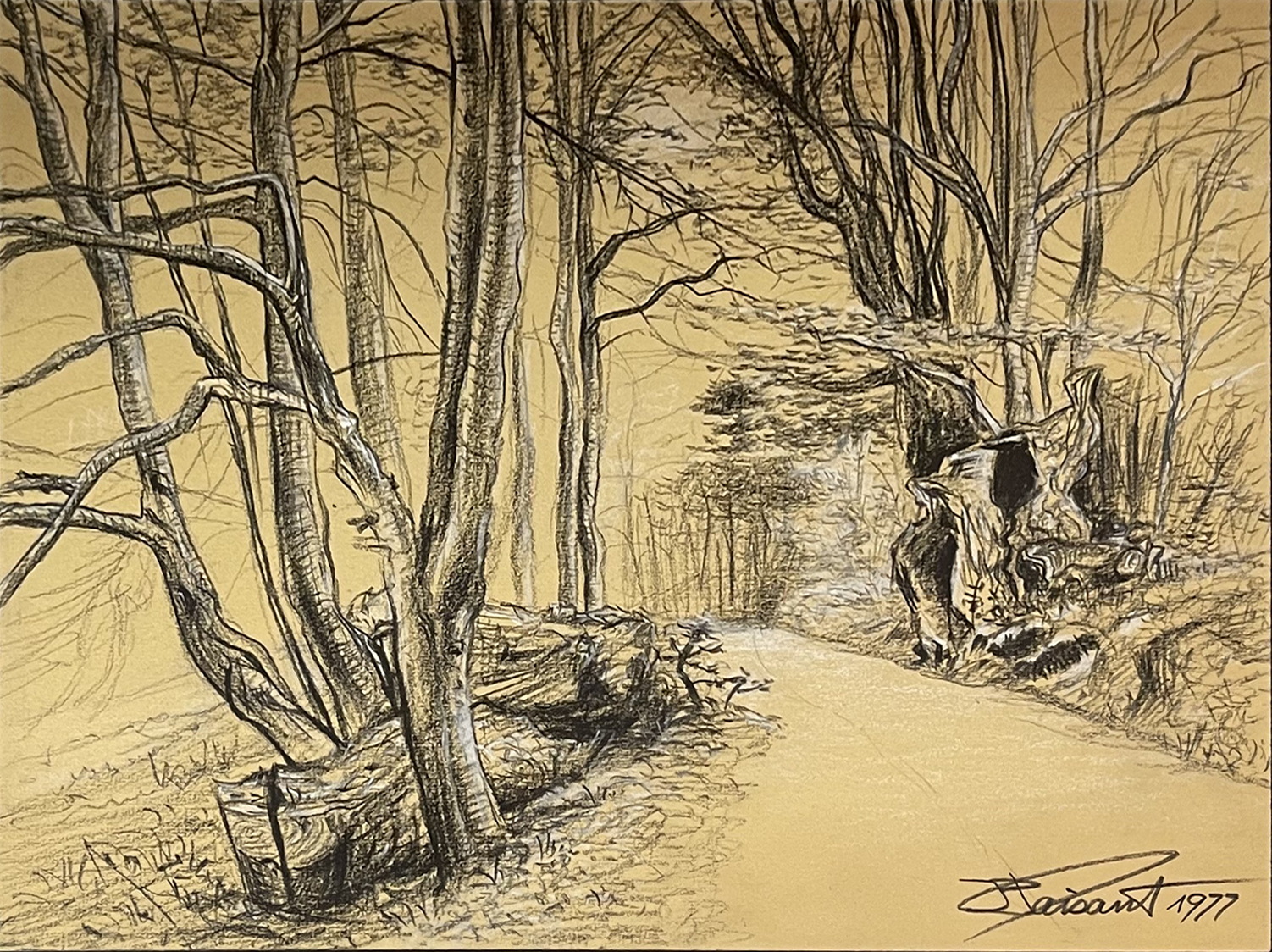 JPF-DShc_Promenade_en_sous_Bois_1977